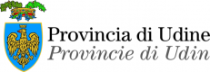 Provincia di Udine (ex)